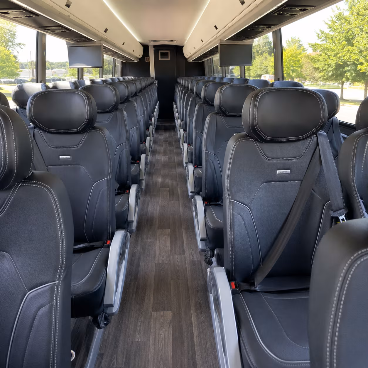 bowie to washington d c and beyond day trips and extended group tours